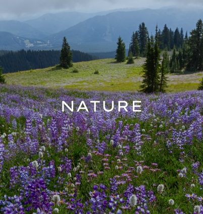 Legacy Stock Shop's Nature Collection