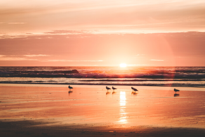 Vibrant Beach Sunset