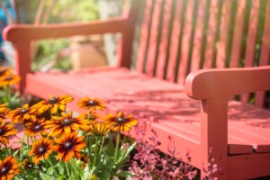 Summer Garden Bench