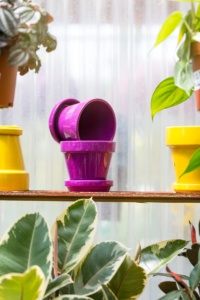 Colorful Flower Pots Displayed on a Greenhouse Shelf