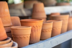 Terracotta Flower Pots in a Row