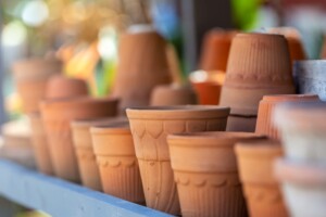 Terracotta Flower Pots in a Row