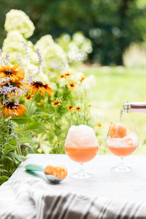 Champaign Floats Served Outdoors on a Summer Patio with Sherbet and Rose Bubbles