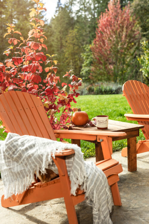 Sunny Fall Vibes on the Patio