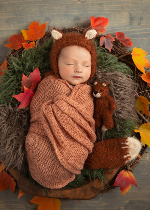 Portrait of Newborn Baby Styled as a Little Fox in Autumn