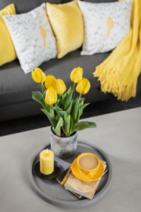 Cozy and Bright Spring Livingroom