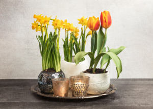 Celebrating Spring at Home with Cozy Seasonal Styling