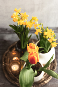 Celebrating Spring at Home with Cozy Seasonal Styling