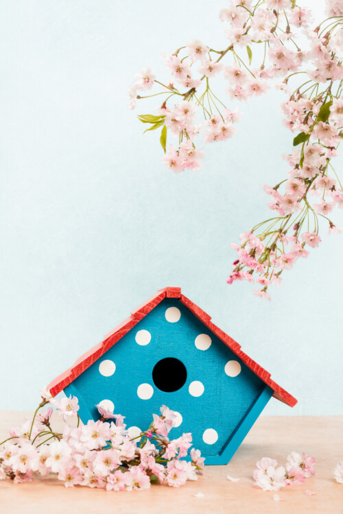 Springtime Blue Birdhouse with Cherry Blossoms