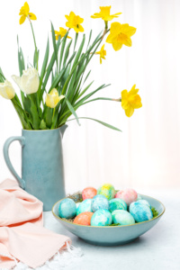 Springtime Daffodils and Colored Eggs Decorated for Easter